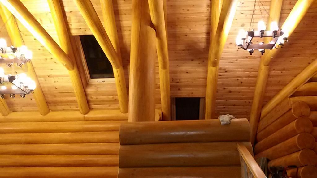 Pensiunea Izbucul Tauz Ghetari Exterior foto