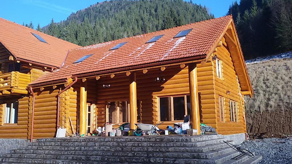 Pensiunea Izbucul Tauz Ghetari Exterior foto