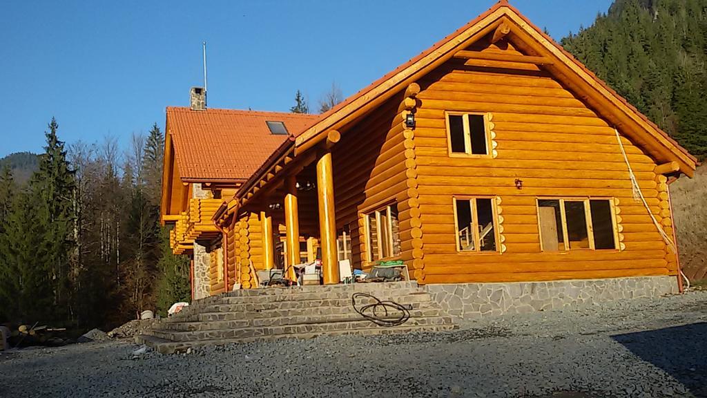 Pensiunea Izbucul Tauz Ghetari Exterior foto